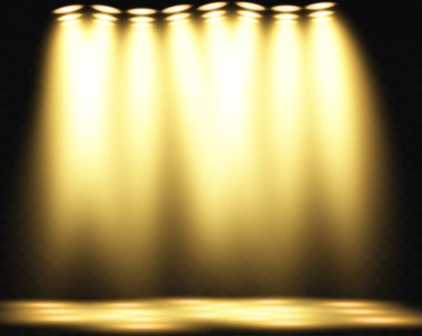 Göz kamaştırıcı, parlak altın ışıklar inanılmaz performanslar ve gösteriler için gerçekten dramatik bir atmosfer yaratıyor.
