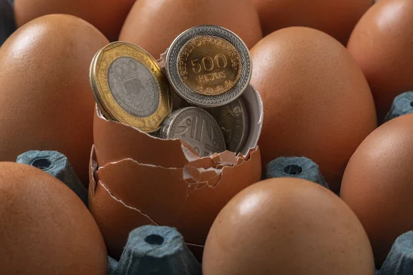 卵のコインとコロンビアのお金 — ストック写真