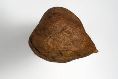 Yakın planda Avokado çekirdeği