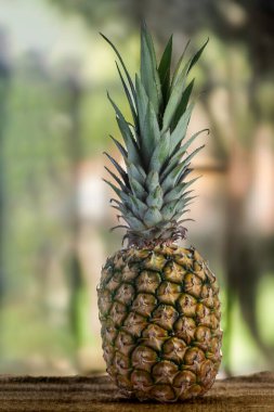 Yakın plan bulanık arkaplan, taze ve doğal görüntü ile ananas (Ananas comosus)