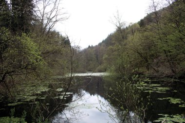 Ormanın içinde sessiz Gölü