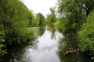 Ormandaki küçük göl