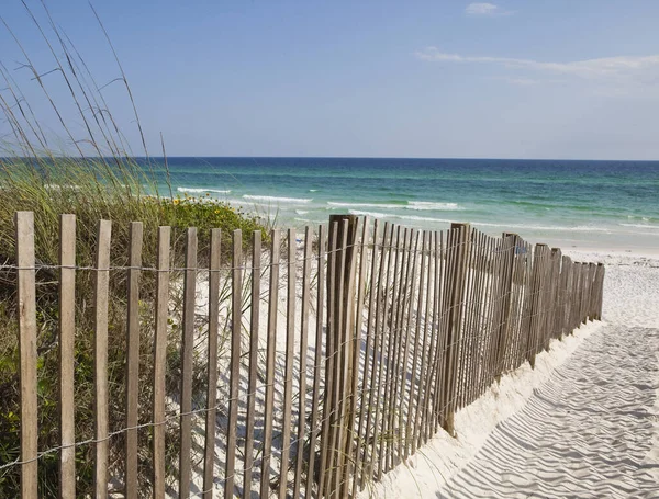 Hölzerne Sandzäune Säumen Sandigen Pfad Durch Üppige Sanddünen Strand Von — Stockfoto
