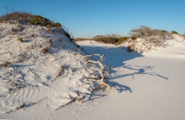 Pensacola 'da kum tepecikleri boyunca uzanan el değmemiş patika, Meksika Körfezi' ndeki FL..