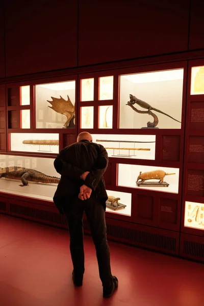Мужчина Ищет Фаршированных Животных Музее Культур Mudec Милане Италия Октябрь — стоковое фото