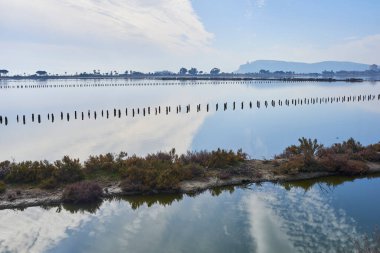 Cagliari, Sardunya, İtalya yakınlarındaki Molentargius Saline Bölgesel Parkı 'nda doğa rezervi