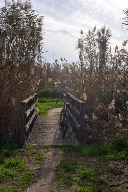 Cagliari, Sardunya, İtalya yakınlarındaki Molentargius Saline Bölgesel Parkı 'nda doğa rezervi