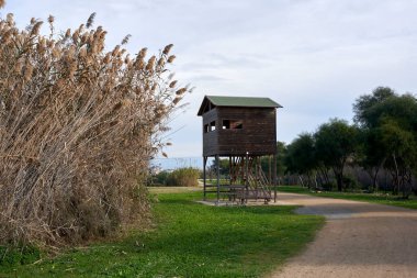 İtalya, Sardunya, Cagliari yakınlarındaki Molentargius Saline Bölgesel Parkı 'nda doğa koruma alanındaki tahta kuş izleme kulübesi.