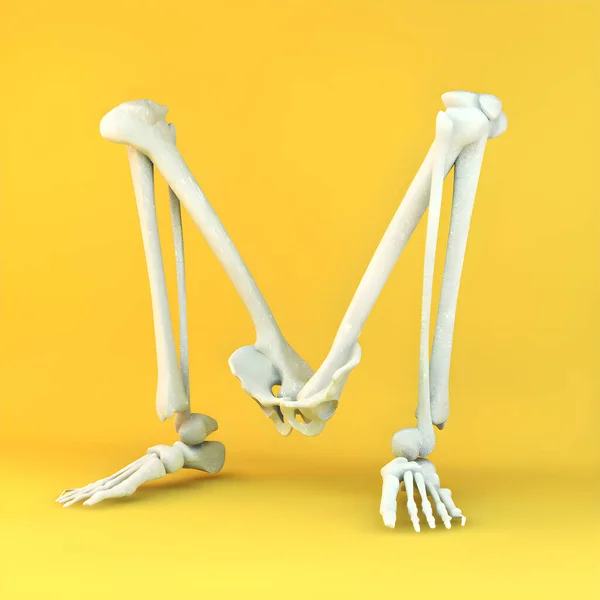 創造的な3Dタイポグラフィのデザイン アルファベットシリーズ 文字M人間の骨格の形をした — ストック写真