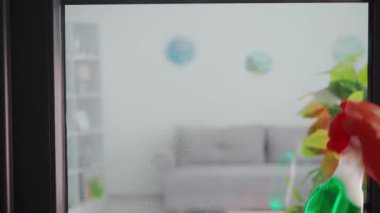 Koruyucu eldivenli genç ev hanımı cama deterjan uyguluyor ve mikrofiber bezle tozu siliyor.