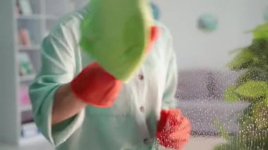 Kadın camları siler, koruyucu eldivenli genç kadın temizlikçi deterjan kullanır ve mikrofiber bez odada cam yıkar.