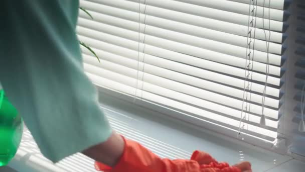 Räumlichkeiten Reinigen Frau Trägt Schutzhandschuhe Auf Fensterbank Auf Und Wischt — Stockvideo