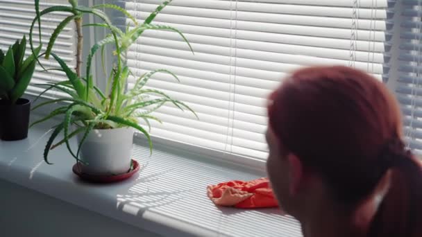 Wohnungsreinigung Junge Frau Handschuhen Trägt Waschmittel Auf Fensterbank Auf Und — Stockvideo
