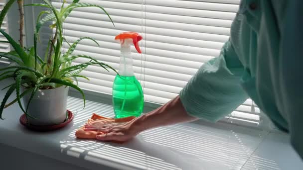 Mano Femenina Guantes Usando Detergente Servilleta Para Limpiar Casa Limpia — Vídeos de Stock