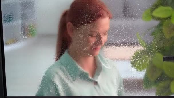 Junge Frau Putzt Hause Mit Waschmittel Und Mikrofasertuch Wäscht Fenster — Stockvideo
