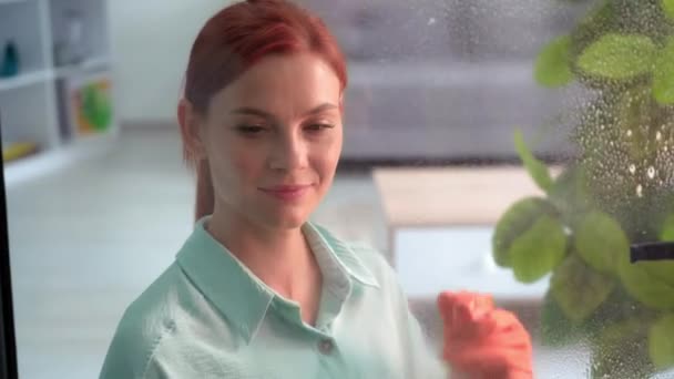 Porträt Einer Glücklichen Hausfrau Handschuhen Die Fenster Mit Putzmittel Und — Stockvideo