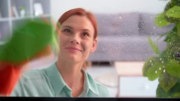 Hausreinigung Frau Handschuhen Trägt Waschmittelspray Auf Glas Auf Und Wischt — Stockvideo