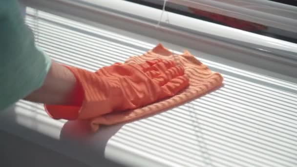 Hardworking Woman Protective Gloves Hand Cleans Home Washes Window Sill — Stockvideo