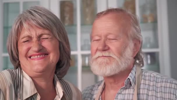 Långvarigt Äktenskap Porträtt Äldre Par Som Har Behållit Ömma Relationer — Stockvideo