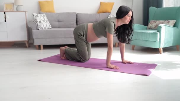 Portret Van Charmante Zwangere Vrouw Doet Oefeningen Gezondheid Handhaven Gymnastische — Stockvideo
