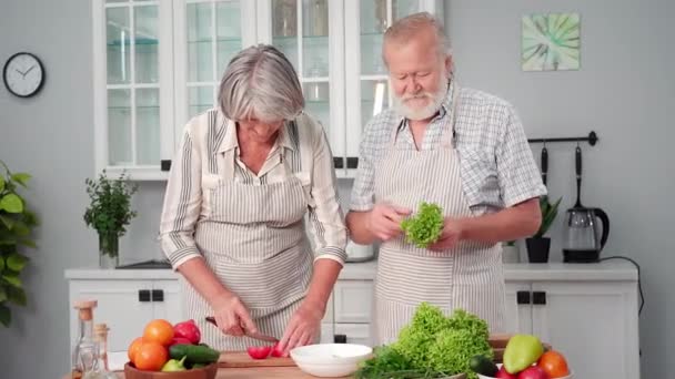 Strava Šťastní Starší Manželé Připravují Salát Čerstvé Zeleniny Bylin Společně — Stock video