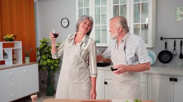 Eheliche Beziehung Charmante Alte Frau Mit Ehemann Mit Gläsern Wein — Stockvideo