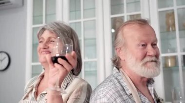 Şenlikli bir akşam yemeği, önlüklü yaşlı bir çift bir bardak şarapla mutfakta yemek hazırlarken eğlenin ve gülün.