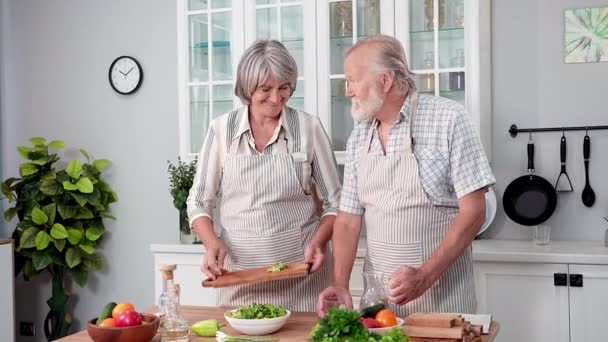 Cuidado Salud Los Ancianos Hombre Mujer Llevan Estilo Vida Adecuado — Vídeo de stock