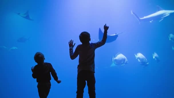 Ωκεανάριο Παιδιά Παρακολουθούν Ενδιαφέρον Ζωή Των Εξωτικών Καρχαριών Ψαριών Και — Αρχείο Βίντεο