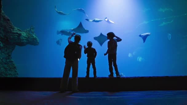 Oceanarium Erkek Çocuklu Genç Bir Kadın Turist Akvaryumdaki Açık Mavi — Stok video