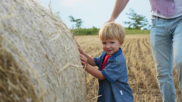 Outdoor Recreation Cheerful Boy Has Fun Rolling Bale Hay His — Stock Video