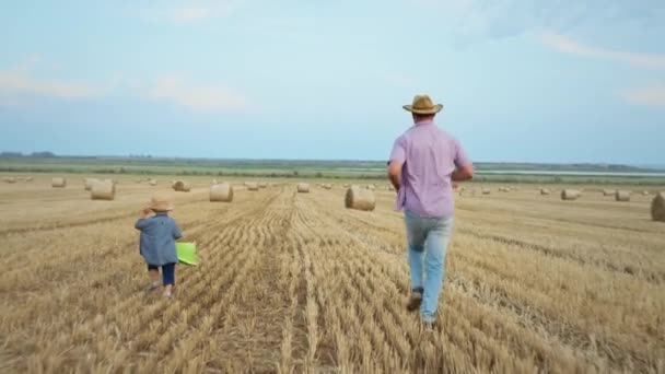 父のいる子供が畑を走り男の親と遊んでる子供が週末を楽しむ田舎で干し草と青空の背景 — ストック動画