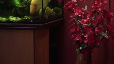 Çay seremonisi sırasında rahat atmosfer, masada çay aksesuarları, yakın çekim.