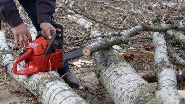 Yaşlı erkek oduncu, dışarıda dikilirken yaşlı bir ağacı kütüğe kesmek için elektrikli testere aldı.