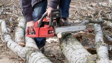 Elektrikli testere kullanan sağlıklı yaşlı bir adam açık havada kütükleri testereyle kesiyor.