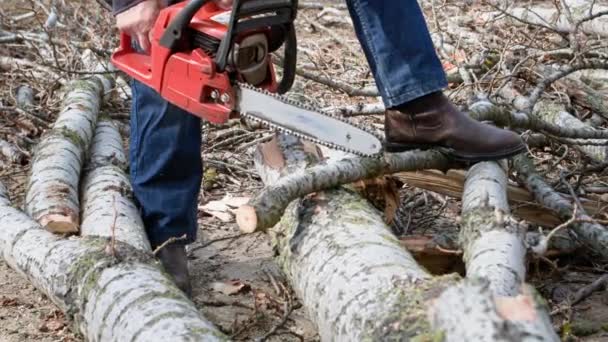Elderly Woodcutter Using Chainsaw Cuts Tree Firewood Open Sky Close — Stock Video