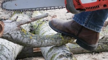 Yaşlı bir oduncu elektrikli testere kullanarak yaşlı bir ağacı kütük ve kütüğe testereyle kesiyor.
