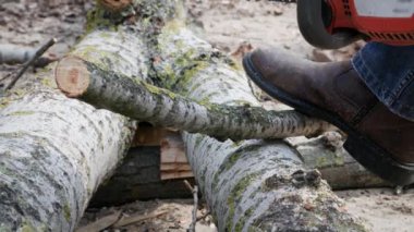 Oduncu, elinde testere olan yaşlı bir adam açık havada ağaç kesiyor, yakın plan.