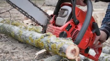 Yaşlı bir adam yakacak odunları için ağaç kesmek için elektrikli testere kullanır.