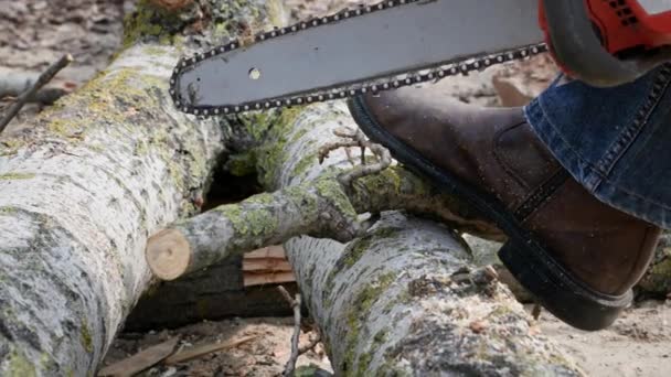 Moderní Nářadí Člověk Používá Řetězovou Pilu Řezání Dřeva Ulici Detailní — Stock video