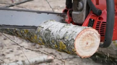 Aletler, elektrikli testere, yakacak odun için ağaç kesme, yakın plan.