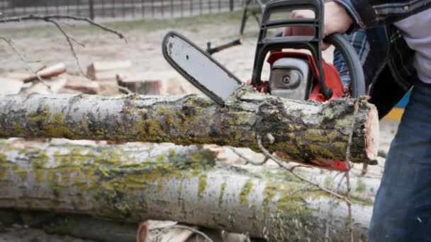 Starý Dřevorubec Drží Rukou Motorovou Pilu Piluje Strom Pařezy Pod — Stock video
