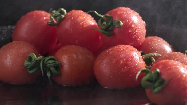 水の背景に新しい作物で収集された熟したジューシーなトマトは暗い背景に落ち クローズアップ — ストック動画