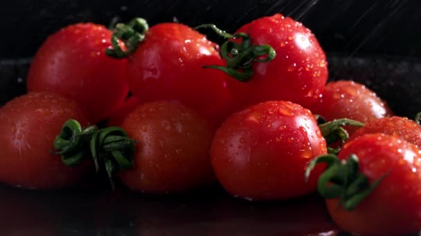Olgun Sebzeler Olgun Kırmızı Domatesler Siyah Arka Planda Suyla Serpiştirilir — Stok video