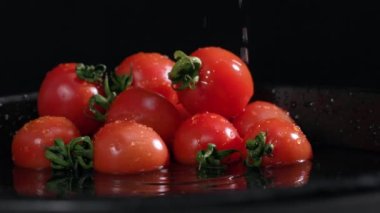 Yeni hasat mevsimi, arka planda olgun domatesler ve arka planda koyu arkaplanda su damlaları.