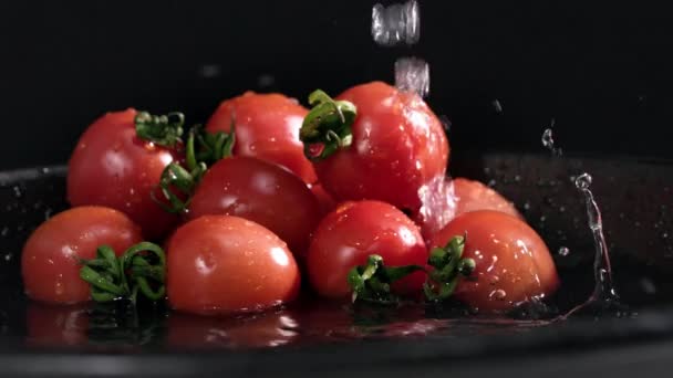 Tomates Coquetel Maduros Uma Placa Preta Contra Fundo Gotas Água — Vídeo de Stock