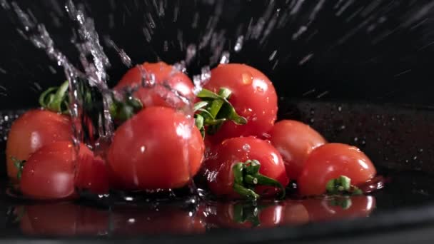 Estação Colheita Tomate Cereja Suculento Maduro Cai Placa Escura Com — Vídeo de Stock