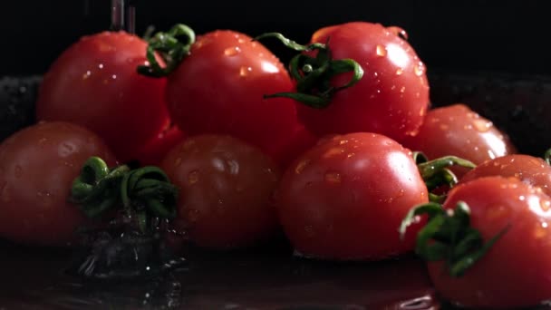 Nova Cultura Tomates Cereja Maduros São Pulverizados Com Gotas Água — Vídeo de Stock