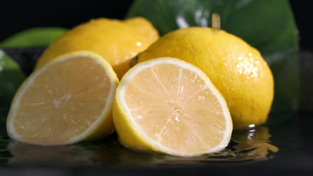 Turunçgil Meyveleri Olgun Limonlar Koyu Bir Zemin Üzerinde Suya Uzanır — Stok video