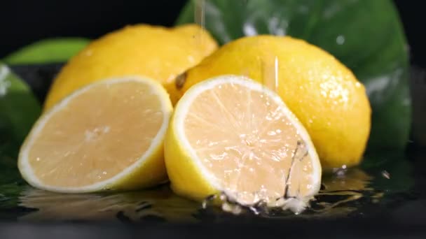 Plátky Zralého Citronu Padají Dužninu Citrusu Tmavém Pozadí Plody Nalévají — Stock video